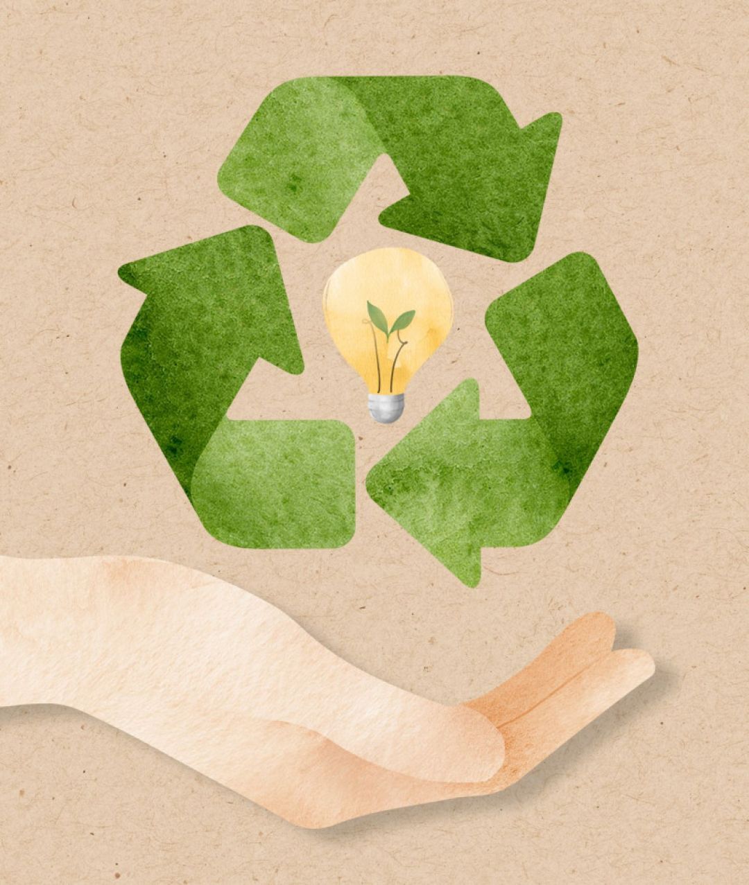 ecologia-graficas-paola